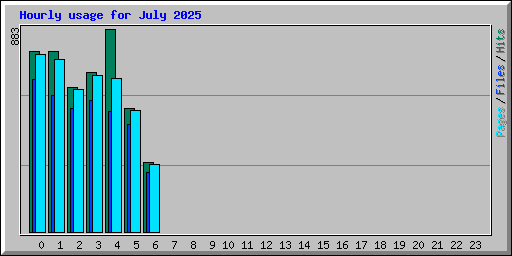 Hourly usage for July 2025