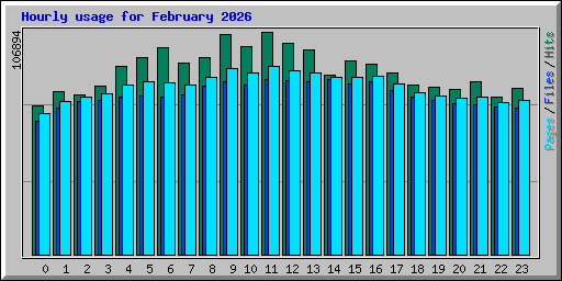 Hourly usage for February 2026